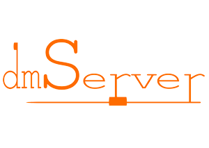 dmServer